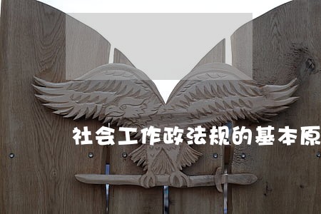 社会工作政法规的基本原理 社会工作政法规的基本原理