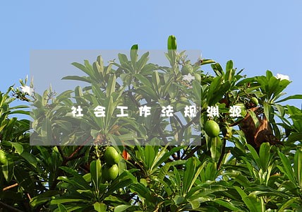 社会工作法规渊源 社会工作法规渊源