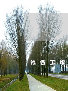 社会工作法规第十章 社会工作法规第十章