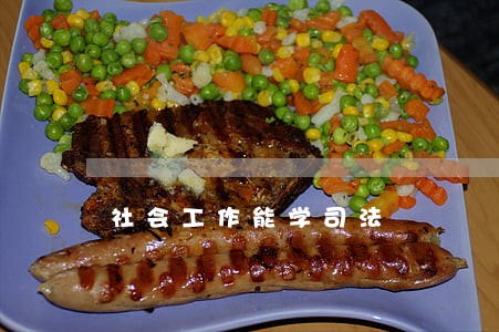 社会工作能学司法 社会工作能学司法
