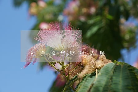 社会监督财经法规 社会监督财经法规