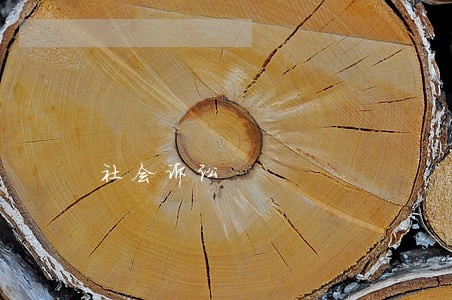 社会诉讼 社会诉讼