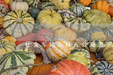 社会车辆右转占公交道不违法 社会车辆右转占公交道不违法