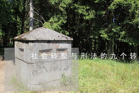 社会转型与刑法的九个转向 社会转型与刑法的九个转向