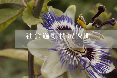 社会逾期情况说明 社会逾期情况说明