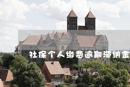 社保个人缴费逾期滞纳金 社保个人缴费逾期滞纳金