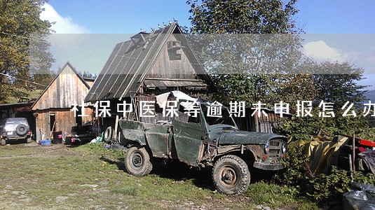 社保中医保等逾期未申报怎么办 社保中医保等逾期未申报怎么办