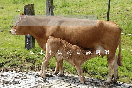 社保争议的诉讼期限