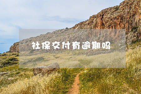 社保交付有逾期吗 社保交付有逾期吗