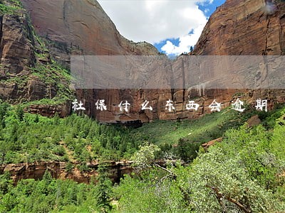 社保什么东西会逾期 社保什么东西会逾期