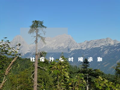 社保什么时候逾期