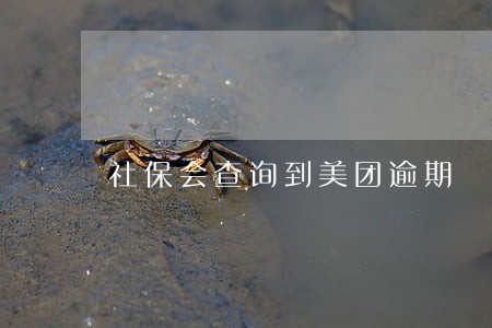 社保会查询到美团逾期