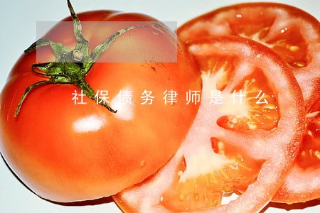 社保债务律师是什么
