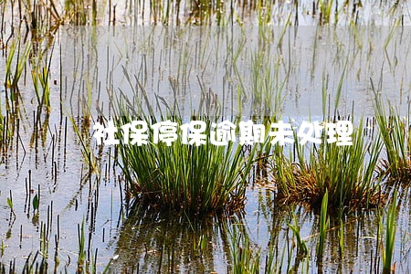 社保停保逾期未处理