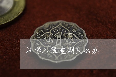 社保入税逾期怎么办 社保入税逾期怎么办