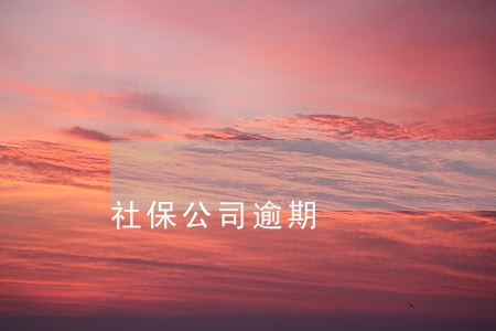 社保公司逾期 社保公司逾期