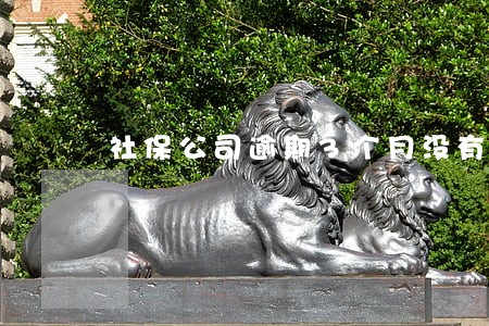社保公司逾期3个月没有交怎么弄 社保公司逾期3个月没有交怎么弄