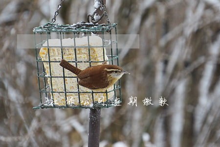 社保公司逾期缴款 社保公司逾期缴款