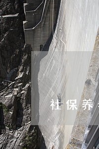 社保养老保险逾期未交 社保养老保险逾期未交