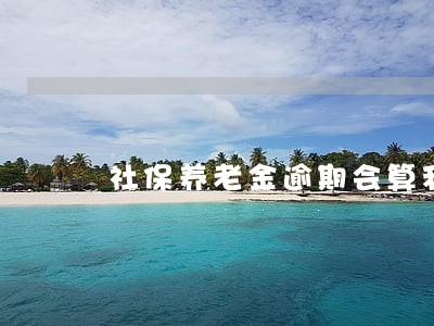 社保养老金逾期会算利息吗