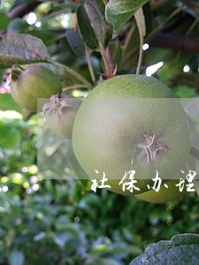 社保办理离职逾期处理方案