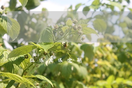 社保医保逾期 社保医保逾期