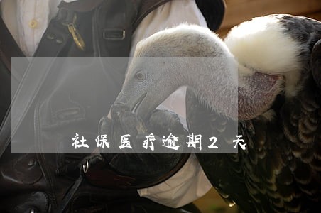 社保医疗逾期2天