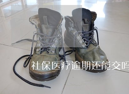 社保医疗逾期还能交吗 社保医疗逾期还能交吗