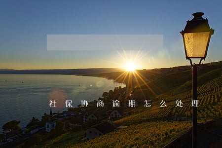 社保协商逾期怎么处理 社保协商逾期怎么处理