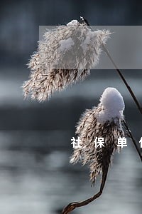 社保单位如果逾期 社保单位如果逾期