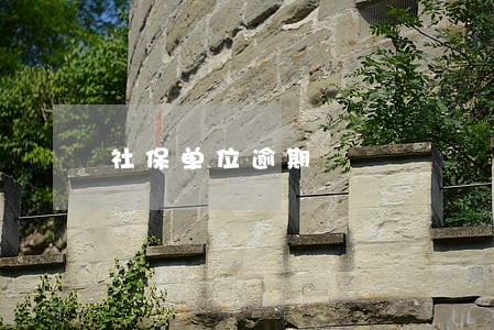 社保单位逾期 社保单位逾期