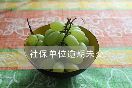 社保单位逾期未交 社保单位逾期未交