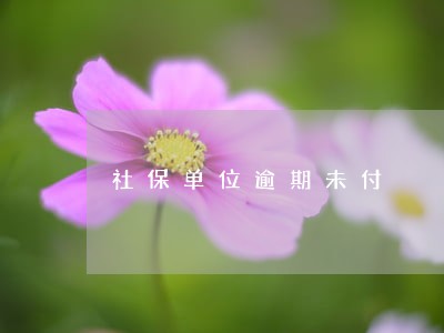 社保单位逾期未付 社保单位逾期未付