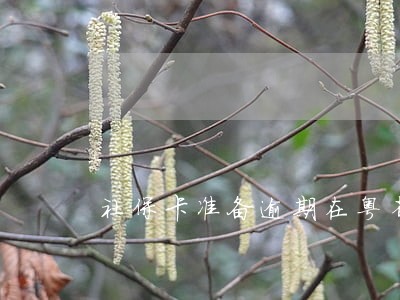 社保卡准备逾期在粤省码怎么弄