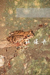 社保卡发卡行有逾期 社保卡发卡行有逾期
