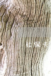 社保卡有逾期费吗 社保卡有逾期费吗