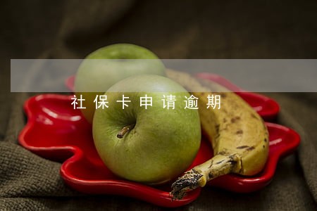 社保卡申请逾期