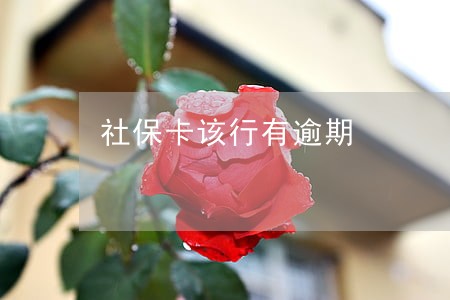 社保卡该行有逾期 社保卡该行有逾期