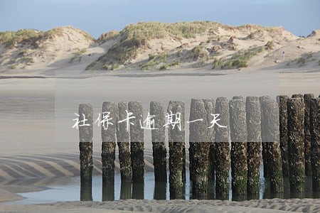 社保卡逾期一天 社保卡逾期一天