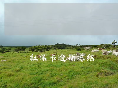 社保卡逾期冻结 社保卡逾期冻结