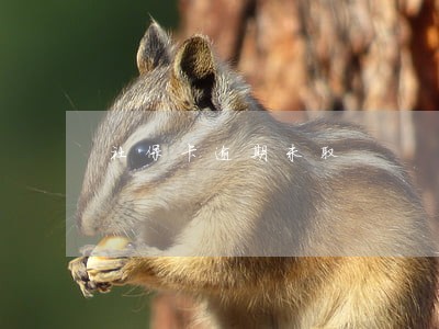 社保卡逾期未取 社保卡逾期未取