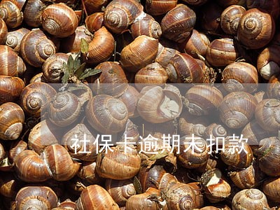 社保卡逾期未扣款 社保卡逾期未扣款