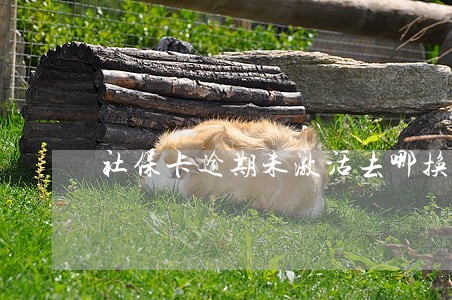 社保卡逾期未激活去哪换卡 社保卡逾期未激活去哪换卡