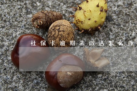 社保卡逾期未激活怎么办理 社保卡逾期未激活怎么办理