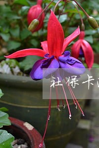 社保卡逾期未激活还能激活码 社保卡逾期未激活还能激活码