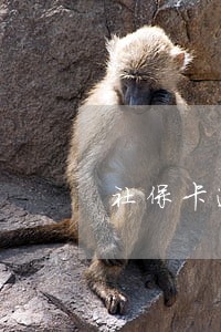 社保卡逾期未缴费 社保卡逾期未缴费