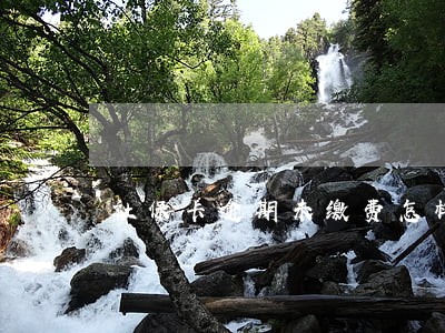 社保卡逾期未缴费怎样补交