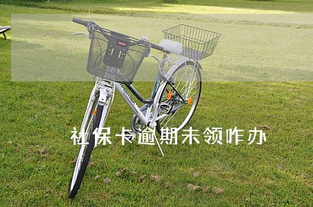 社保卡逾期未领咋办 社保卡逾期未领咋办