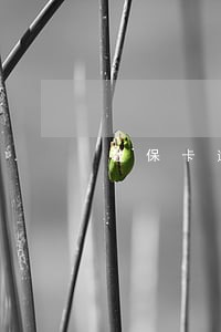 社保卡逾期未领怎么办 社保卡逾期未领怎么办