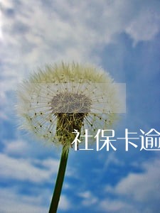 社保卡逾期未验证